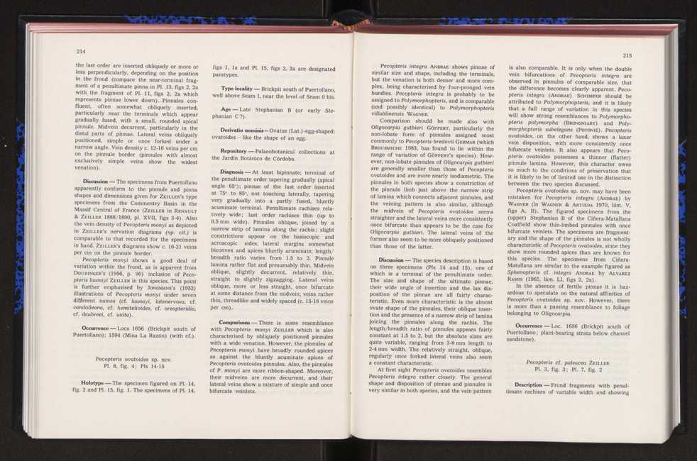 Anais da Faculdade de Cincias : supplement to volume 64 (1983) : special volume in honour of Wenceslau de Lima, palaeobotanist and statesman (1858-1919) 134
