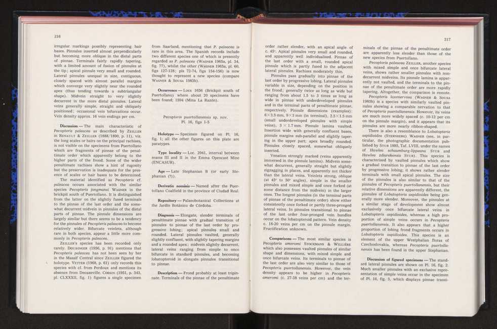 Anais da Faculdade de Cincias : supplement to volume 64 (1983) : special volume in honour of Wenceslau de Lima, palaeobotanist and statesman (1858-1919) 135