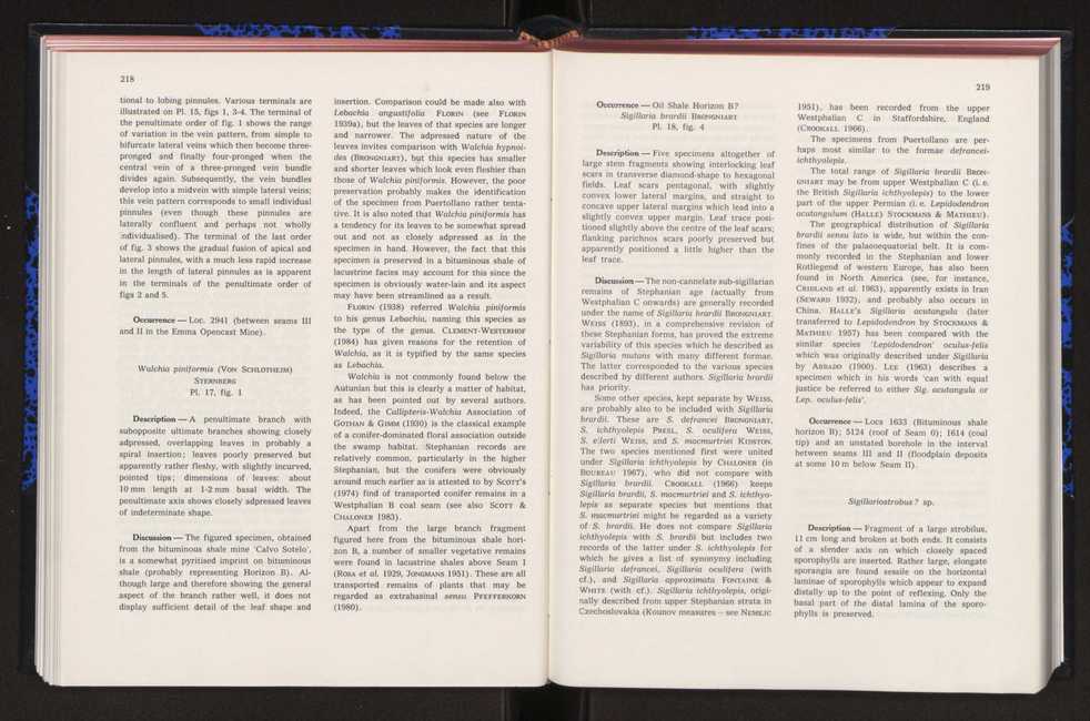 Anais da Faculdade de Cincias : supplement to volume 64 (1983) : special volume in honour of Wenceslau de Lima, palaeobotanist and statesman (1858-1919) 136