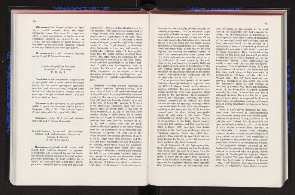 Anais da Faculdade de Cincias : supplement to volume 64 (1983) : special volume in honour of Wenceslau de Lima, palaeobotanist and statesman (1858-1919) 137
