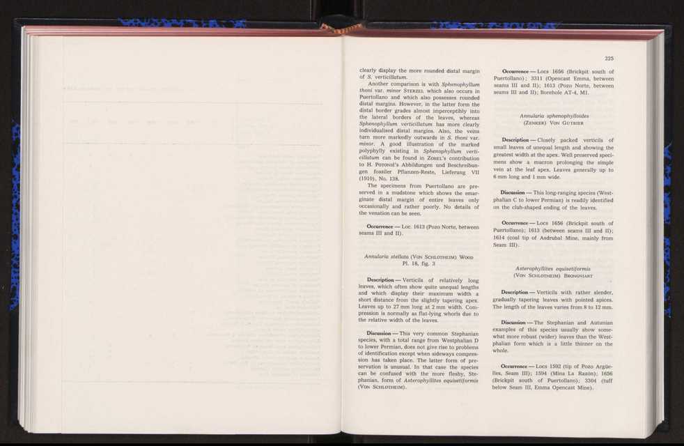 Anais da Faculdade de Cincias : supplement to volume 64 (1983) : special volume in honour of Wenceslau de Lima, palaeobotanist and statesman (1858-1919) 140