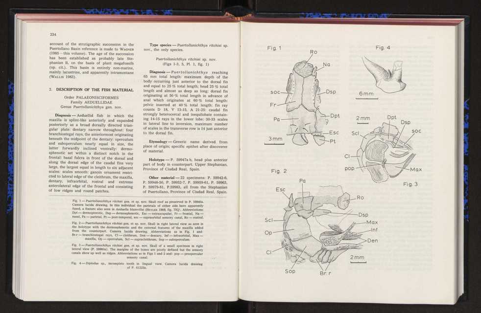 Anais da Faculdade de Cincias : supplement to volume 64 (1983) : special volume in honour of Wenceslau de Lima, palaeobotanist and statesman (1858-1919) 167