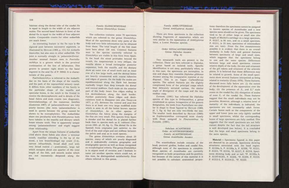 Anais da Faculdade de Cincias : supplement to volume 64 (1983) : special volume in honour of Wenceslau de Lima, palaeobotanist and statesman (1858-1919) 169
