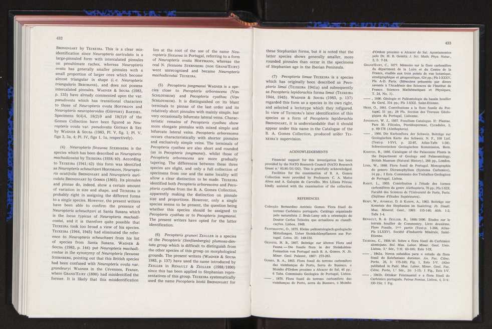 Anais da Faculdade de Cincias : supplement to volume 64 (1983) : special volume in honour of Wenceslau de Lima, palaeobotanist and statesman (1858-1919) 284