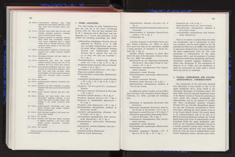 Anais da Faculdade de Cincias : supplement to volume 64 (1983) : special volume in honour of Wenceslau de Lima, palaeobotanist and statesman (1858-1919) 302