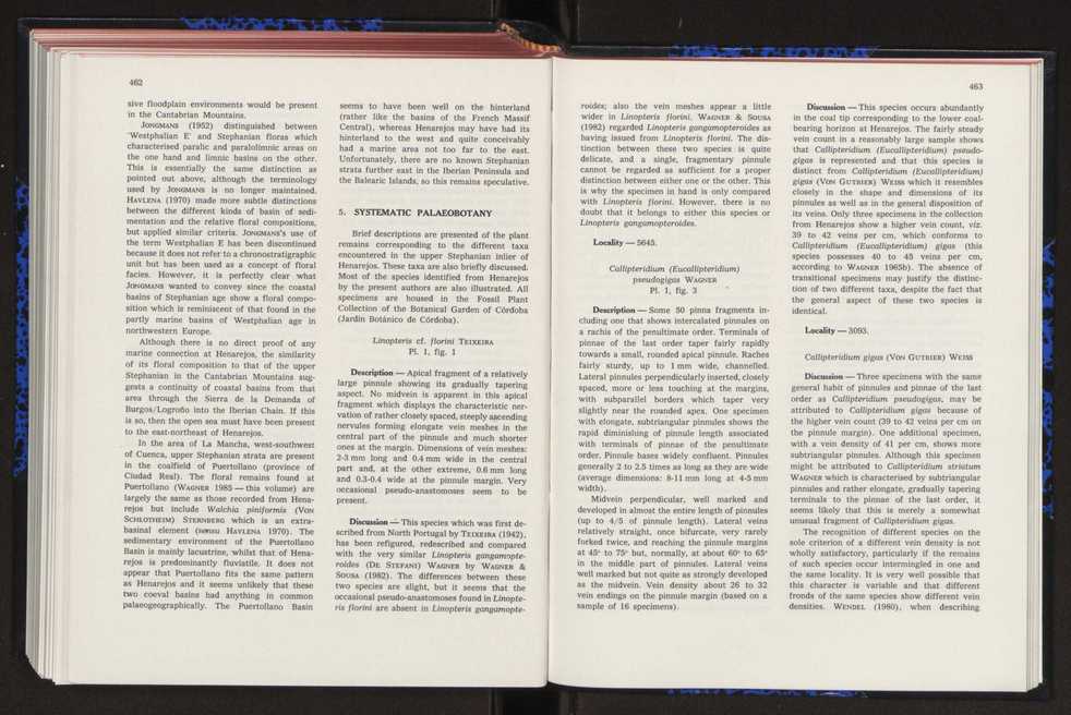 Anais da Faculdade de Cincias : supplement to volume 64 (1983) : special volume in honour of Wenceslau de Lima, palaeobotanist and statesman (1858-1919) 303