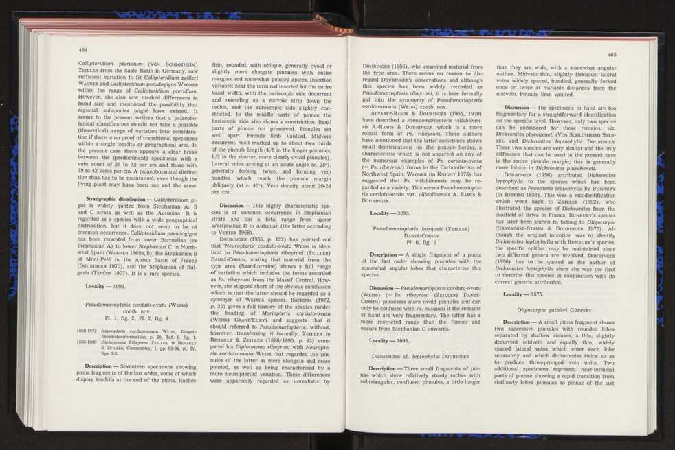 Anais da Faculdade de Cincias : supplement to volume 64 (1983) : special volume in honour of Wenceslau de Lima, palaeobotanist and statesman (1858-1919) 304