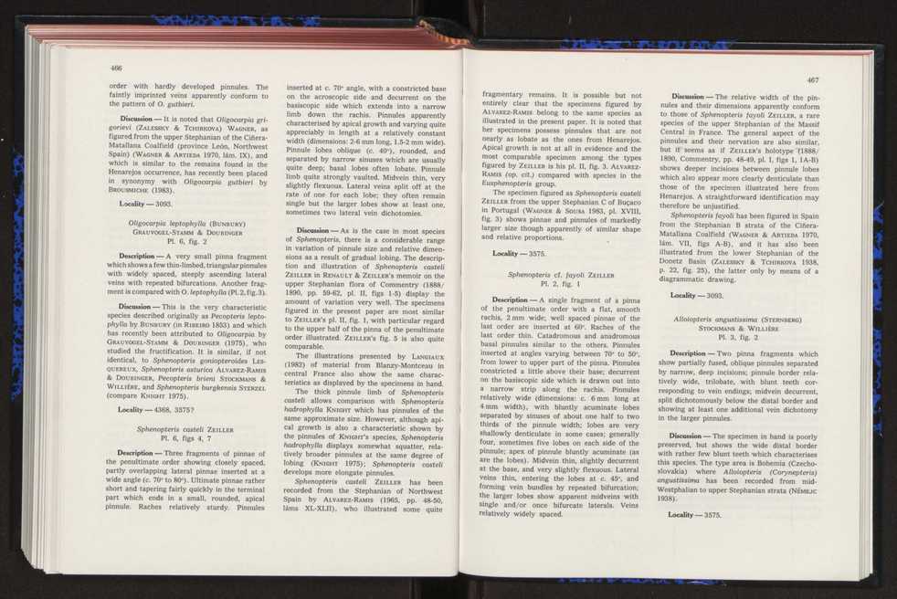 Anais da Faculdade de Cincias : supplement to volume 64 (1983) : special volume in honour of Wenceslau de Lima, palaeobotanist and statesman (1858-1919) 305