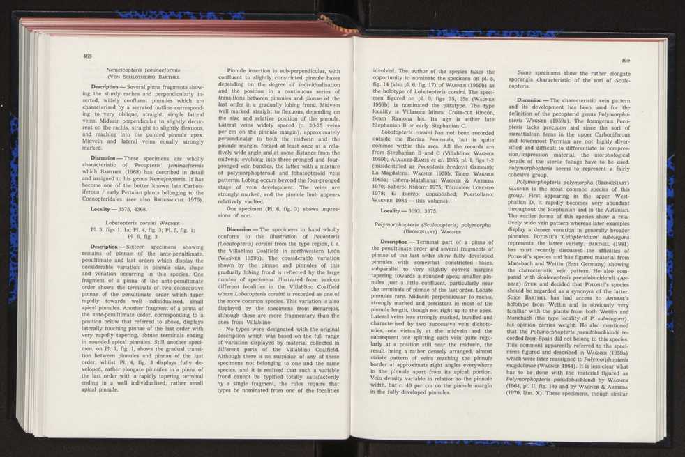 Anais da Faculdade de Cincias : supplement to volume 64 (1983) : special volume in honour of Wenceslau de Lima, palaeobotanist and statesman (1858-1919) 306