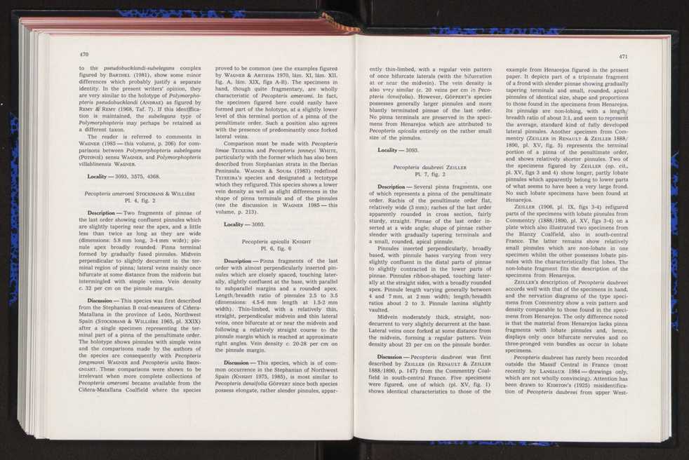 Anais da Faculdade de Cincias : supplement to volume 64 (1983) : special volume in honour of Wenceslau de Lima, palaeobotanist and statesman (1858-1919) 307