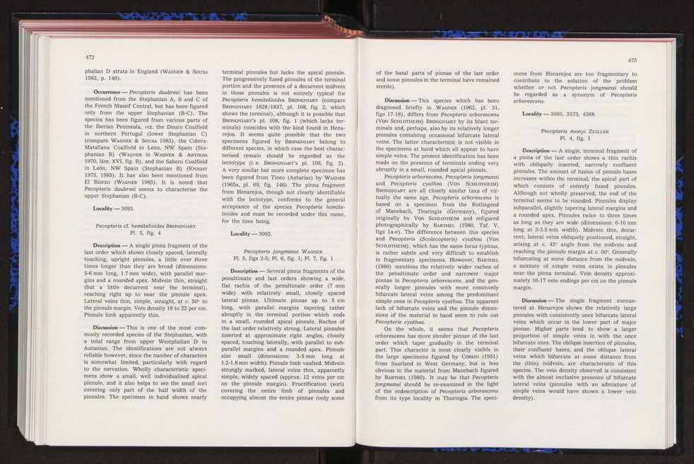 Anais da Faculdade de Cincias : supplement to volume 64 (1983) : special volume in honour of Wenceslau de Lima, palaeobotanist and statesman (1858-1919) 308