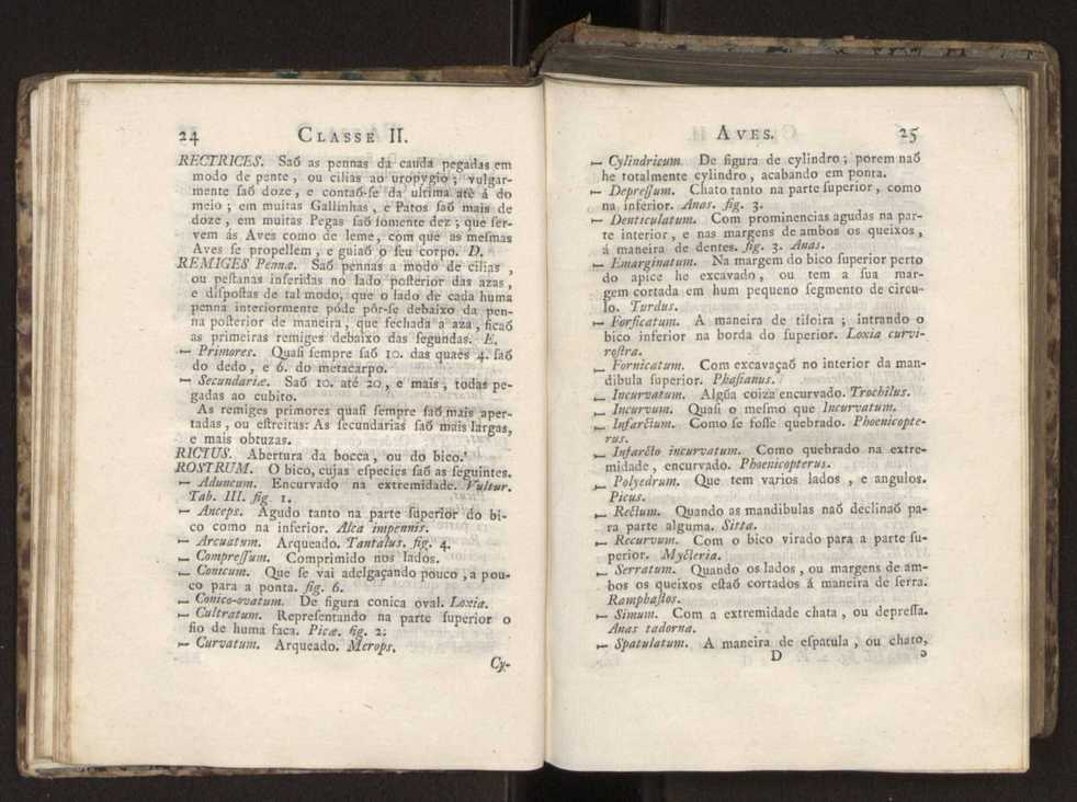 Diccionario dos termos technicos de historia natural extrahidos das obras de Linno ...:Memoria sobre a utilidade dos jardins botanicos 36