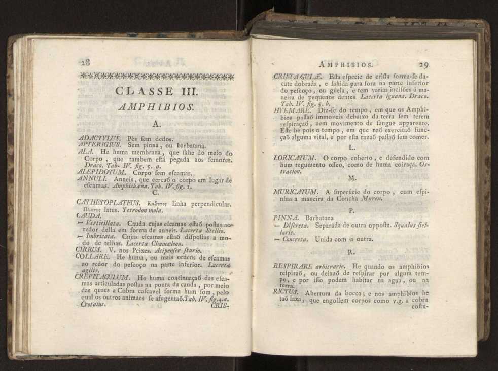 Diccionario dos termos technicos de historia natural extrahidos das obras de Linno ...:Memoria sobre a utilidade dos jardins botanicos 38