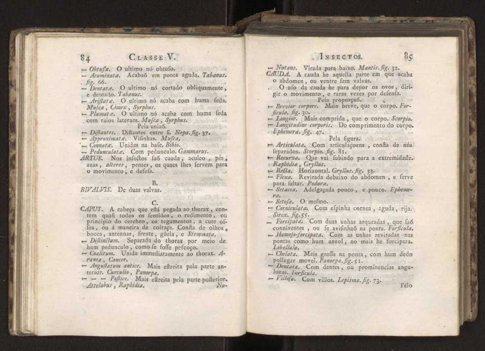 Diccionario dos termos technicos de historia natural extrahidos das obras de Linno ...:Memoria sobre a utilidade dos jardins botanicos 66