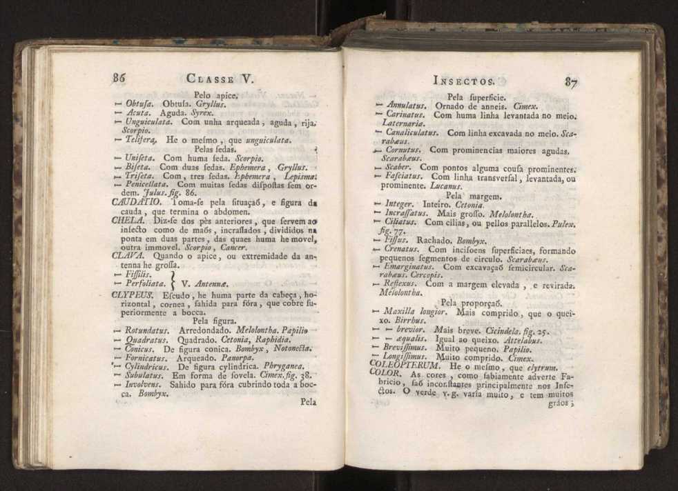 Diccionario dos termos technicos de historia natural extrahidos das obras de Linno ...:Memoria sobre a utilidade dos jardins botanicos 67