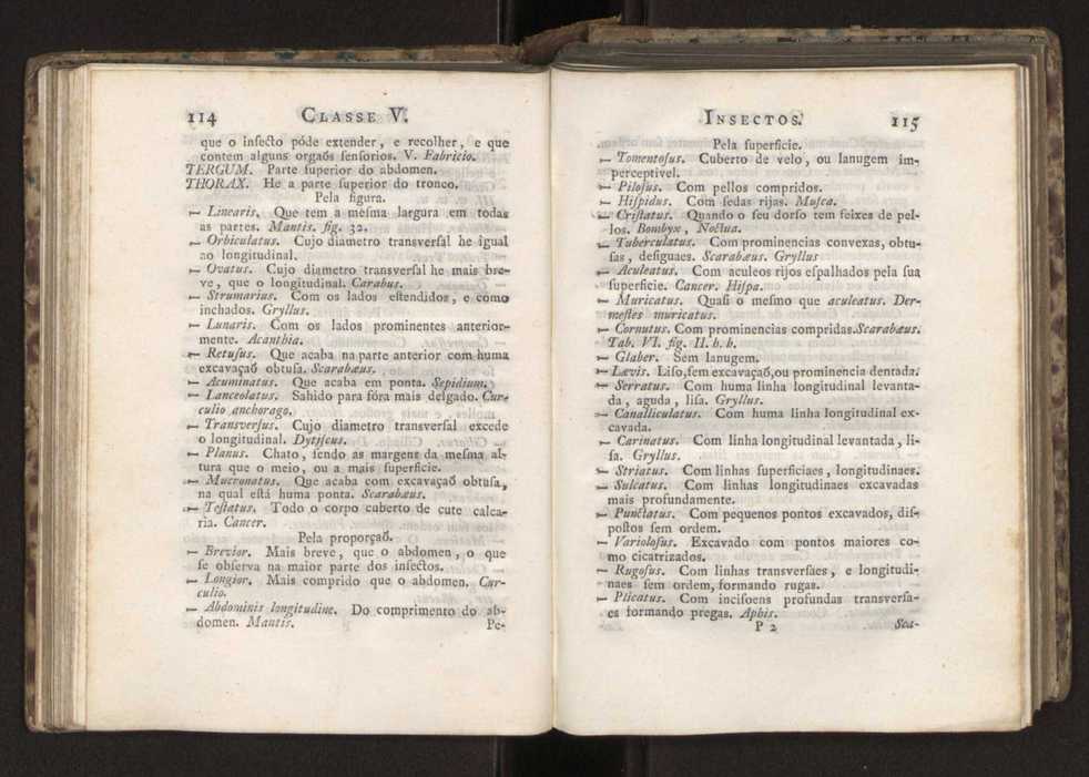 Diccionario dos termos technicos de historia natural extrahidos das obras de Linno ...:Memoria sobre a utilidade dos jardins botanicos 81
