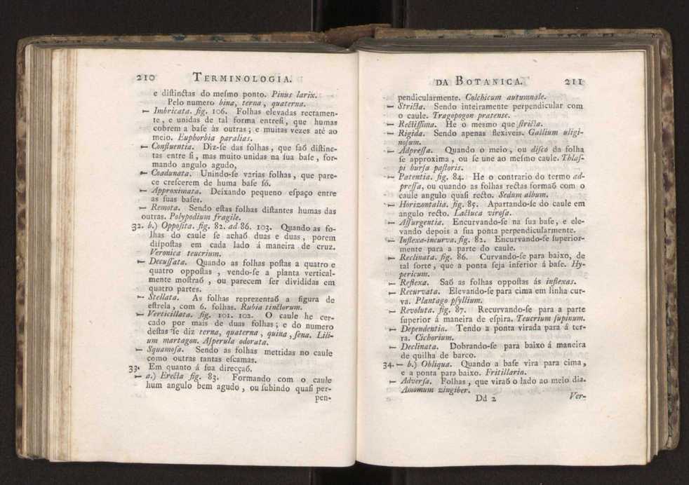 Diccionario dos termos technicos de historia natural extrahidos das obras de Linno ...:Memoria sobre a utilidade dos jardins botanicos 129