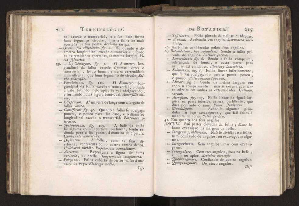 Diccionario dos termos technicos de historia natural extrahidos das obras de Linno ...:Memoria sobre a utilidade dos jardins botanicos 131