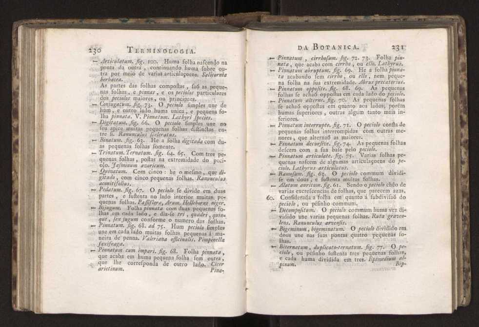 Diccionario dos termos technicos de historia natural extrahidos das obras de Linno ...:Memoria sobre a utilidade dos jardins botanicos 139