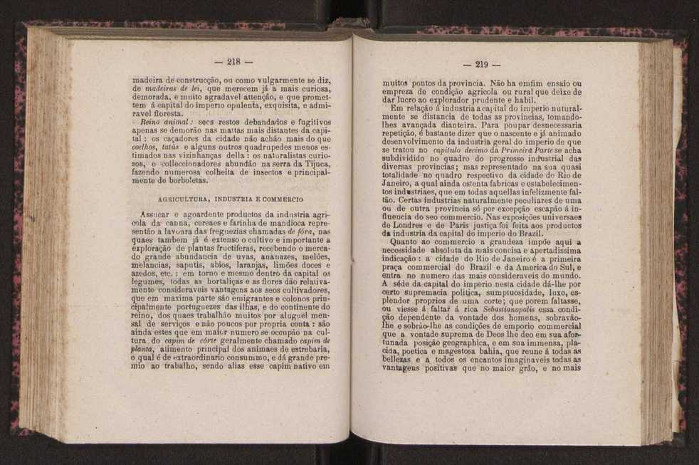 Noes de corographia do Brasil : [Provincias e municipio da corte do Imperio do Brazil] 113