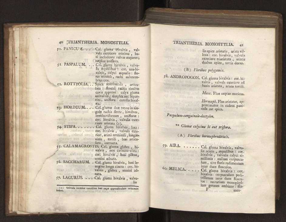 Felicis Avellar Broteri ... Flora Lusitanica, seu plantarum, quae in Lusitania vel sponte crescunt, vel frequentius colunter, ex florum praesertim sexubus systematice distributarum, synopsis. Vol. 1 31