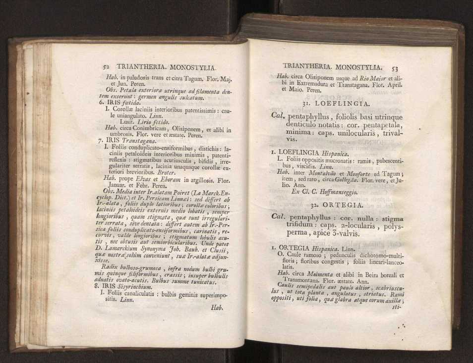 Felicis Avellar Broteri ... Flora Lusitanica, seu plantarum, quae in Lusitania vel sponte crescunt, vel frequentius colunter, ex florum praesertim sexubus systematice distributarum, synopsis. Vol. 1 37