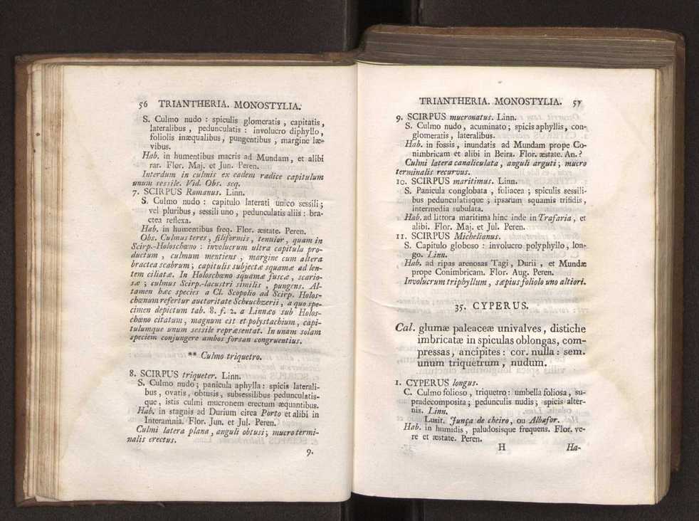 Felicis Avellar Broteri ... Flora Lusitanica, seu plantarum, quae in Lusitania vel sponte crescunt, vel frequentius colunter, ex florum praesertim sexubus systematice distributarum, synopsis. Vol. 1 39