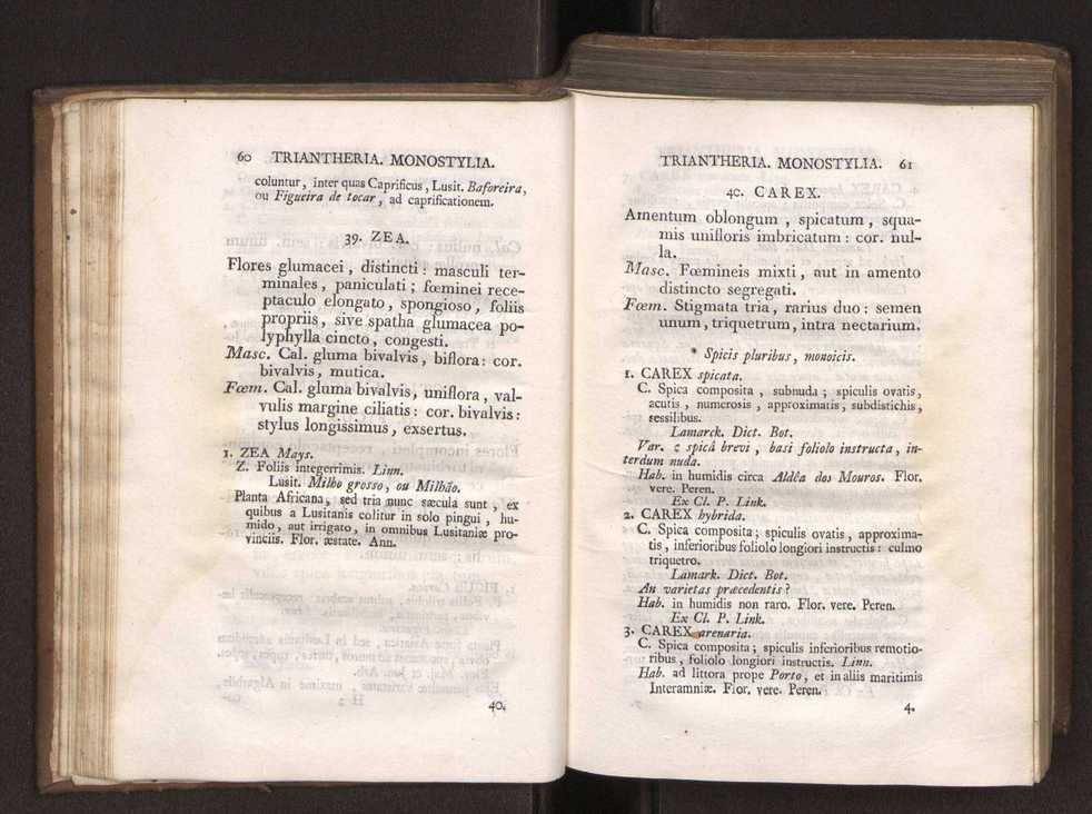 Felicis Avellar Broteri ... Flora Lusitanica, seu plantarum, quae in Lusitania vel sponte crescunt, vel frequentius colunter, ex florum praesertim sexubus systematice distributarum, synopsis. Vol. 1 41