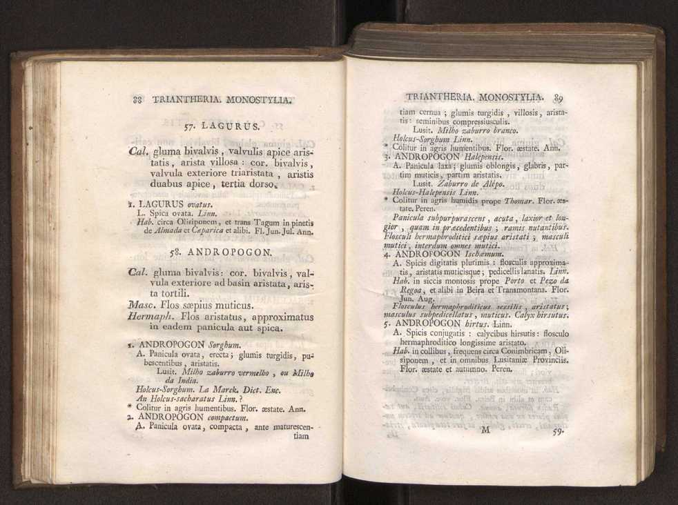 Felicis Avellar Broteri ... Flora Lusitanica, seu plantarum, quae in Lusitania vel sponte crescunt, vel frequentius colunter, ex florum praesertim sexubus systematice distributarum, synopsis. Vol. 1 55