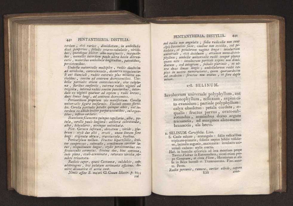 Felicis Avellar Broteri ... Flora Lusitanica, seu plantarum, quae in Lusitania vel sponte crescunt, vel frequentius colunter, ex florum praesertim sexubus systematice distributarum, synopsis. Vol. 1 231