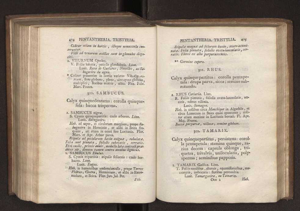 Felicis Avellar Broteri ... Flora Lusitanica, seu plantarum, quae in Lusitania vel sponte crescunt, vel frequentius colunter, ex florum praesertim sexubus systematice distributarum, synopsis. Vol. 1 248