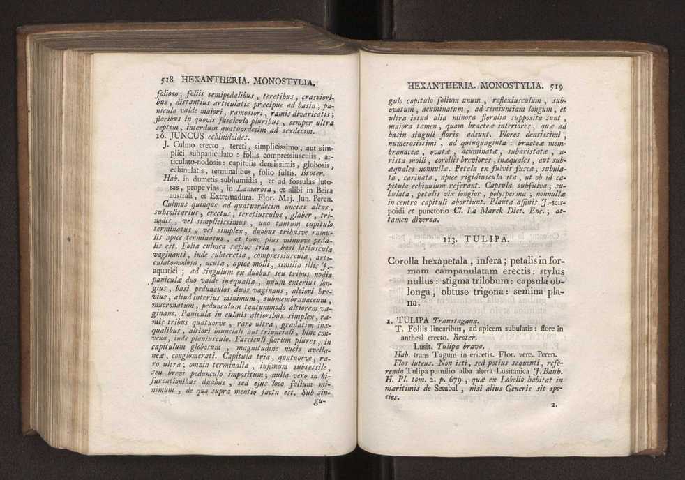 Felicis Avellar Broteri ... Flora Lusitanica, seu plantarum, quae in Lusitania vel sponte crescunt, vel frequentius colunter, ex florum praesertim sexubus systematice distributarum, synopsis. Vol. 1 270