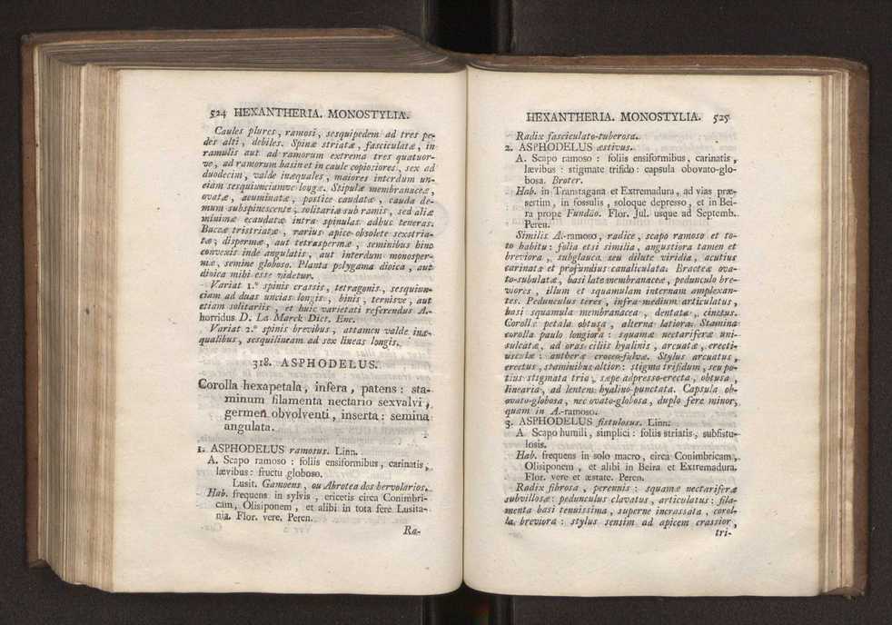 Felicis Avellar Broteri ... Flora Lusitanica, seu plantarum, quae in Lusitania vel sponte crescunt, vel frequentius colunter, ex florum praesertim sexubus systematice distributarum, synopsis. Vol. 1 273