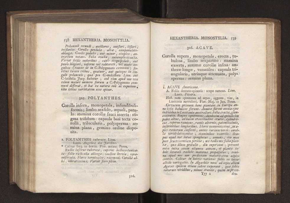 Felicis Avellar Broteri ... Flora Lusitanica, seu plantarum, quae in Lusitania vel sponte crescunt, vel frequentius colunter, ex florum praesertim sexubus systematice distributarum, synopsis. Vol. 1 280