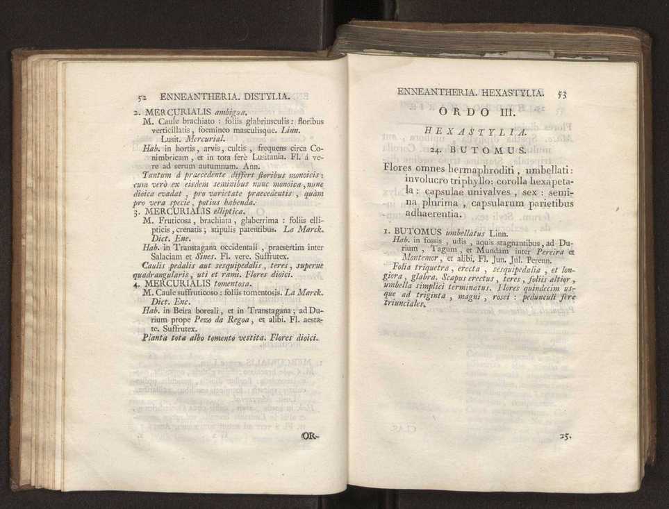 Felicis Avellar Broteri ... Flora Lusitanica, seu plantarum, quae in Lusitania vel sponte crescunt, vel frequentius colunter, ex florum praesertim sexubus systematice distributarum, synopsis. Vol. 2 29