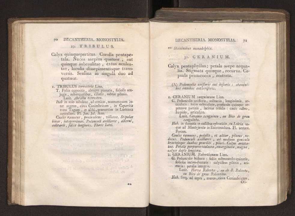 Felicis Avellar Broteri ... Flora Lusitanica, seu plantarum, quae in Lusitania vel sponte crescunt, vel frequentius colunter, ex florum praesertim sexubus systematice distributarum, synopsis. Vol. 2 38