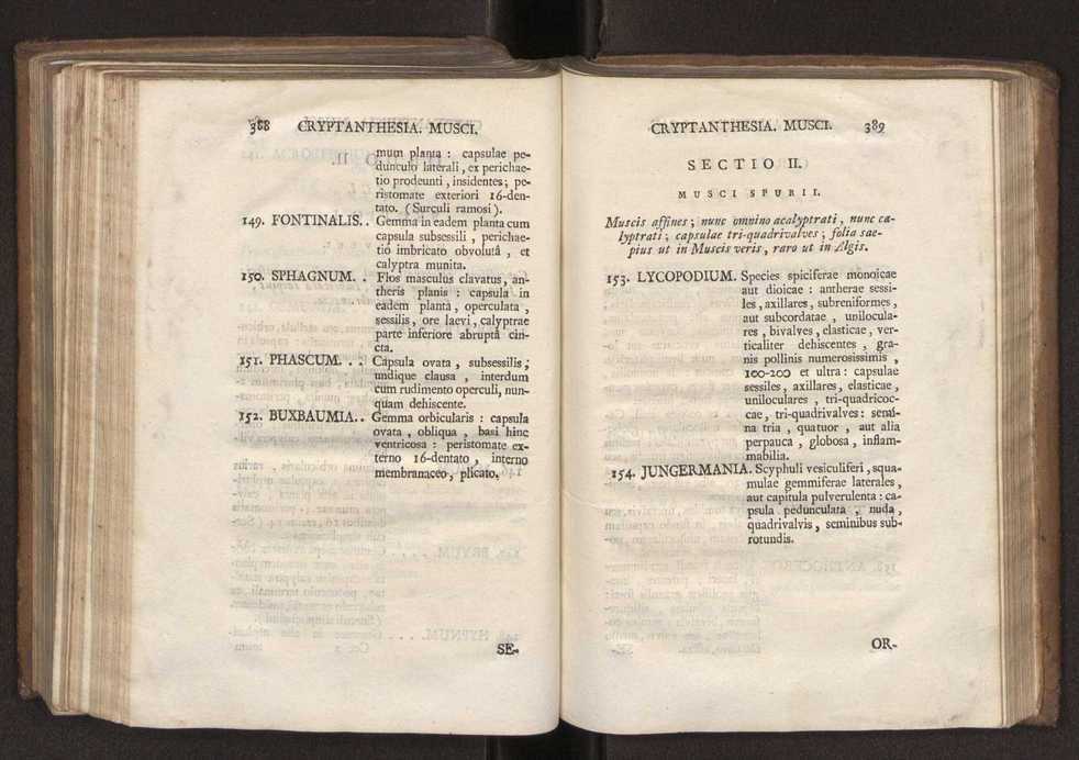 Felicis Avellar Broteri ... Flora Lusitanica, seu plantarum, quae in Lusitania vel sponte crescunt, vel frequentius colunter, ex florum praesertim sexubus systematice distributarum, synopsis. Vol. 2 197