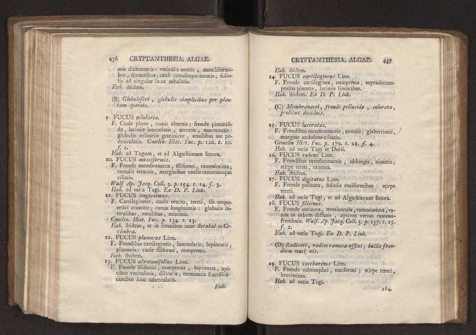 Felicis Avellar Broteri ... Flora Lusitanica, seu plantarum, quae in Lusitania vel sponte crescunt, vel frequentius colunter, ex florum praesertim sexubus systematice distributarum, synopsis. Vol. 2 221