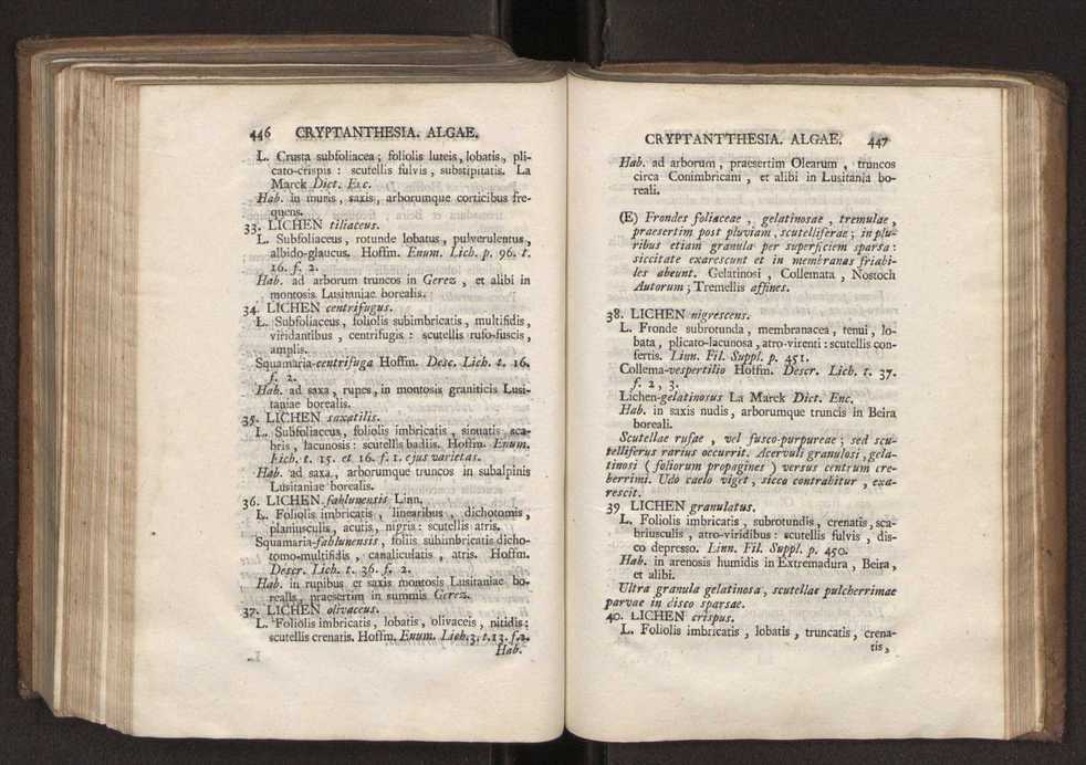 Felicis Avellar Broteri ... Flora Lusitanica, seu plantarum, quae in Lusitania vel sponte crescunt, vel frequentius colunter, ex florum praesertim sexubus systematice distributarum, synopsis. Vol. 2 225