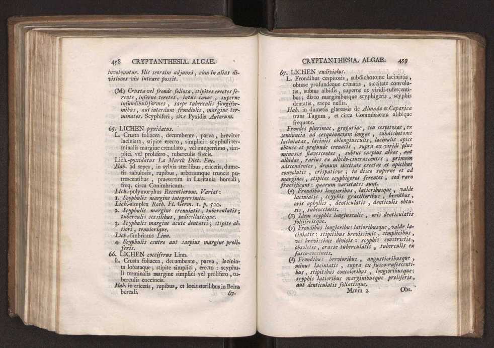 Felicis Avellar Broteri ... Flora Lusitanica, seu plantarum, quae in Lusitania vel sponte crescunt, vel frequentius colunter, ex florum praesertim sexubus systematice distributarum, synopsis. Vol. 2 231