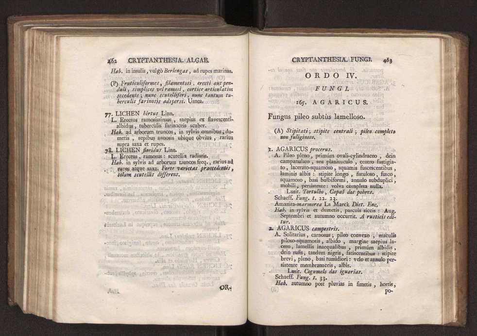 Felicis Avellar Broteri ... Flora Lusitanica, seu plantarum, quae in Lusitania vel sponte crescunt, vel frequentius colunter, ex florum praesertim sexubus systematice distributarum, synopsis. Vol. 2 233