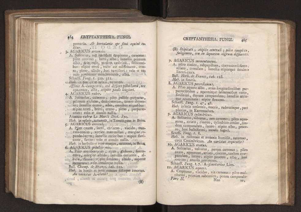 Felicis Avellar Broteri ... Flora Lusitanica, seu plantarum, quae in Lusitania vel sponte crescunt, vel frequentius colunter, ex florum praesertim sexubus systematice distributarum, synopsis. Vol. 2 234