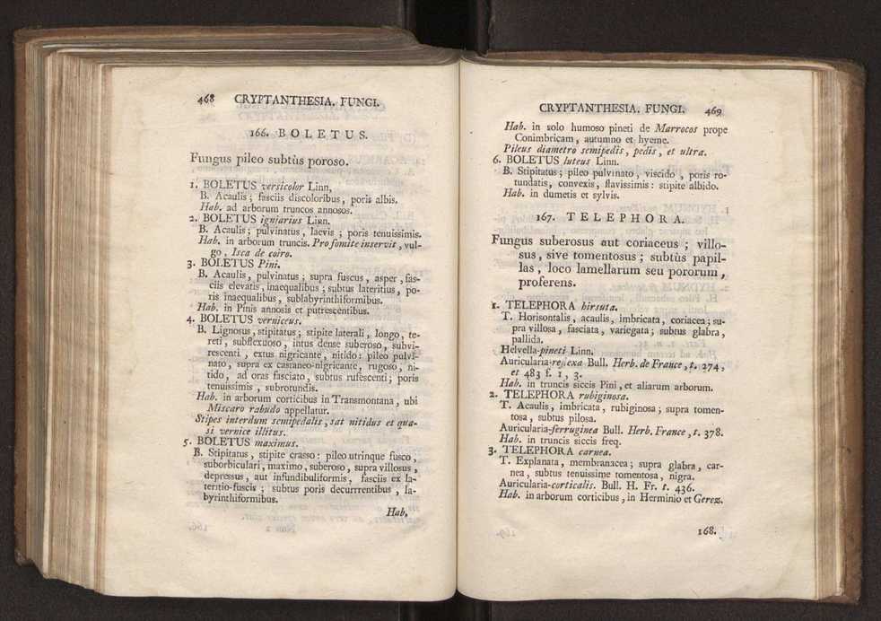 Felicis Avellar Broteri ... Flora Lusitanica, seu plantarum, quae in Lusitania vel sponte crescunt, vel frequentius colunter, ex florum praesertim sexubus systematice distributarum, synopsis. Vol. 2 236