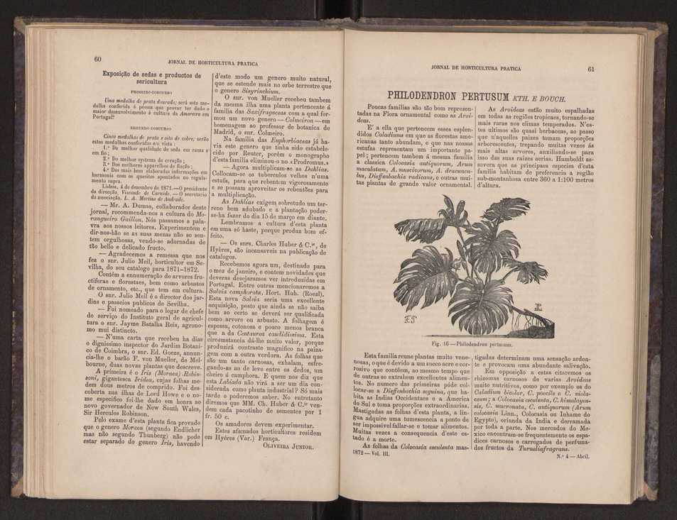 Jornal de horticultura prtica III 38