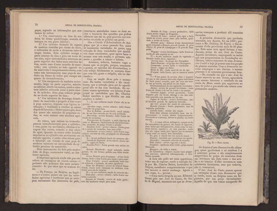 Jornal de horticultura prtica III 47