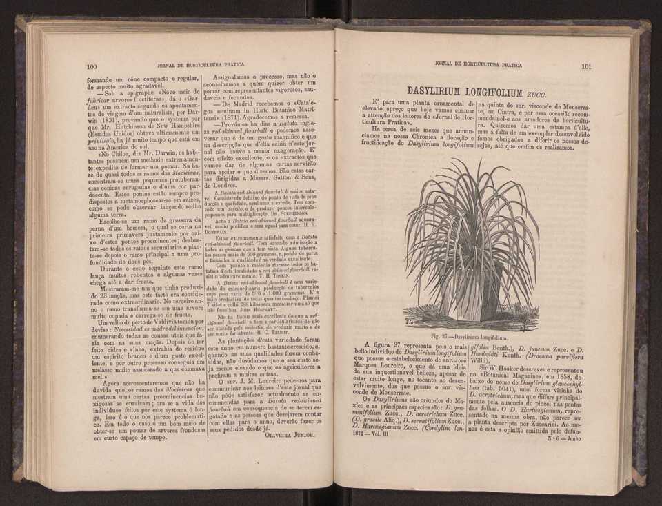 Jornal de horticultura prtica III 58