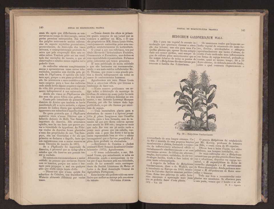 Jornal de horticultura prtica III 78