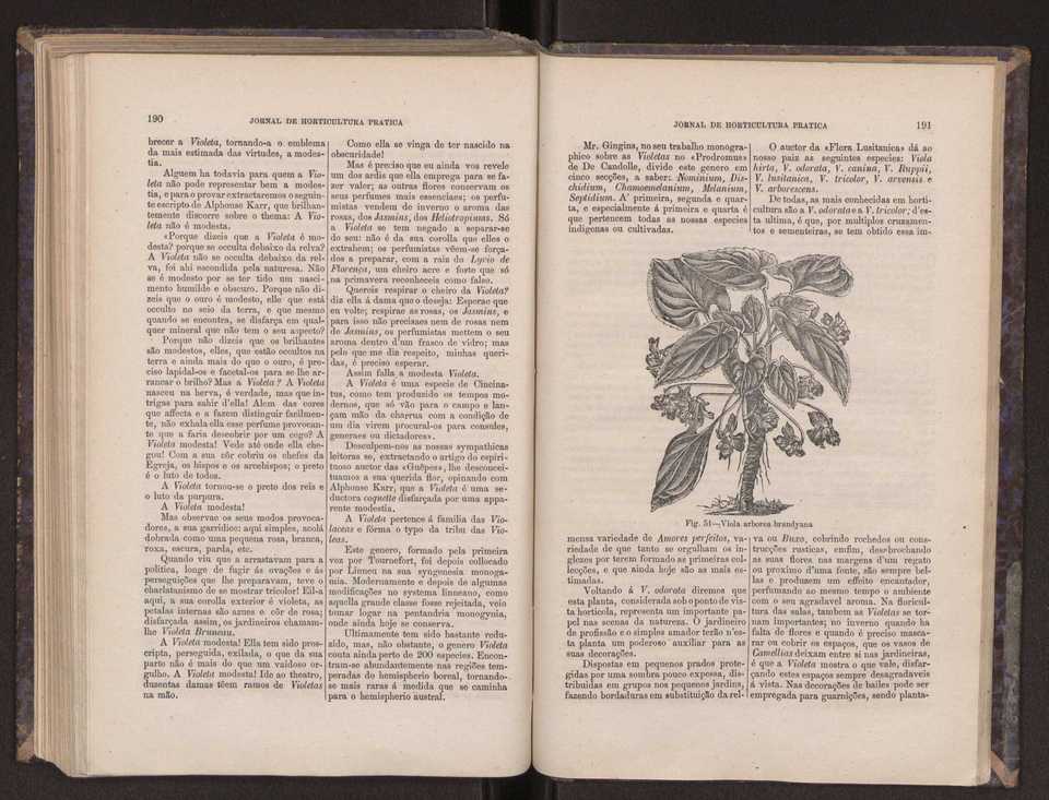 Jornal de horticultura prtica III 103