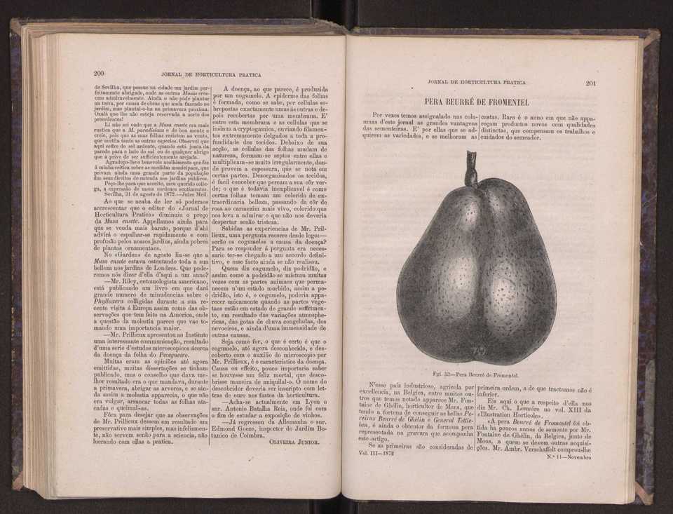 Jornal de horticultura prtica III 108