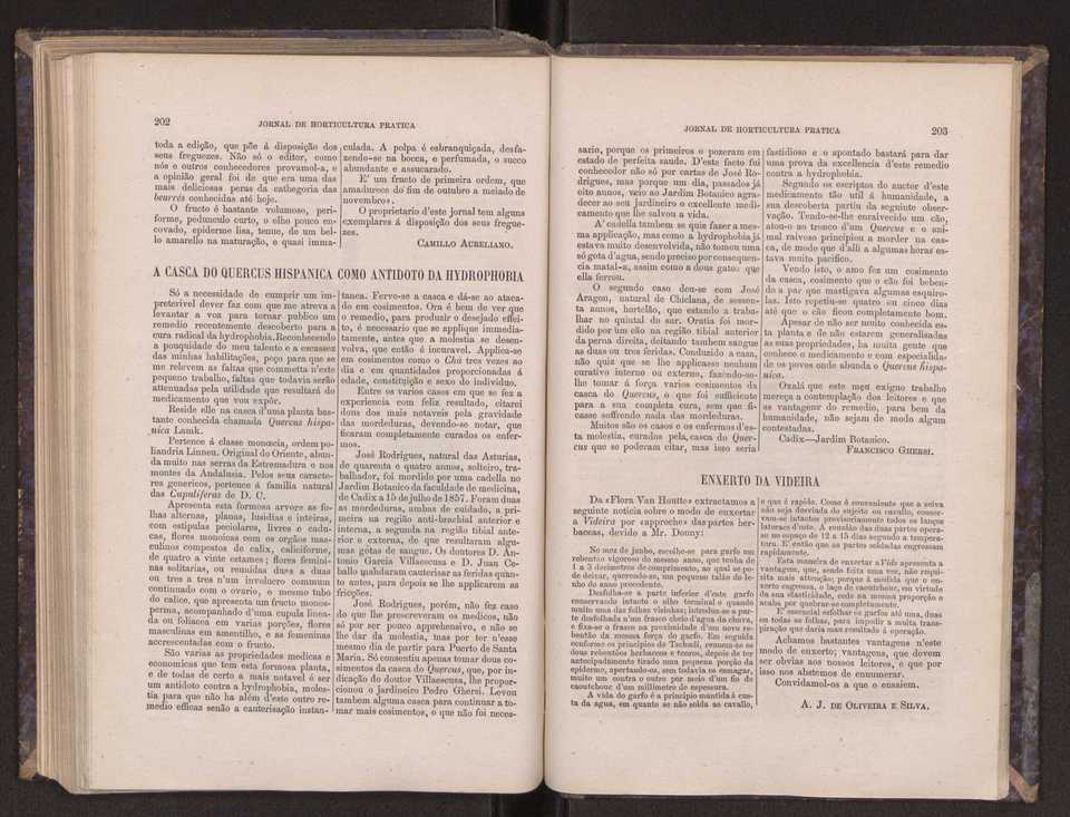 Jornal de horticultura prtica III 109